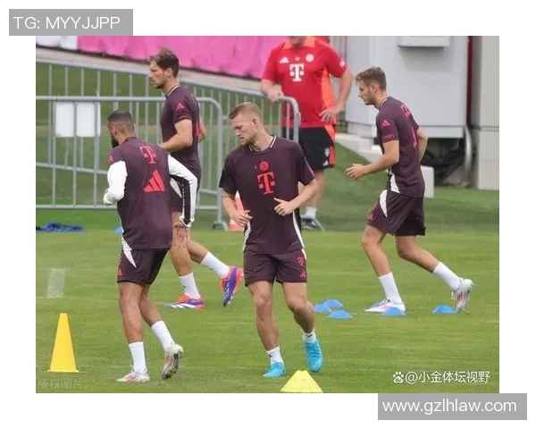 里尔布阿迪深度解析约罗成功的关键因素与潜在机会 里尔布阿迪深度解析约罗成功的关键因素与潜在机会